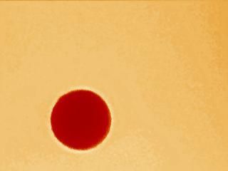 Transito Venus 2004-4