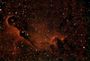 IC1396 detall de la Trompa d'Elefant