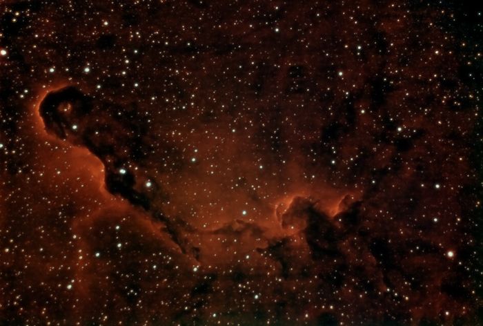 IC1396 detall de la Trompa d'Elefant