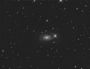 NGC-3338
