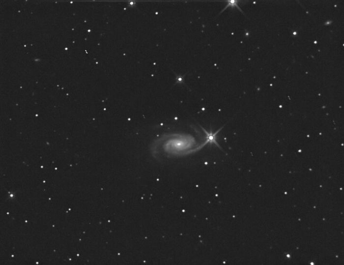 NGC-3338