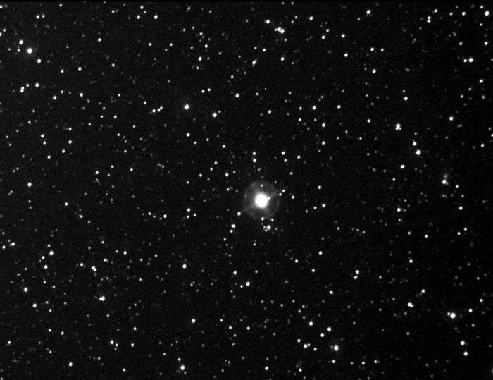 NGC 6826 Halo