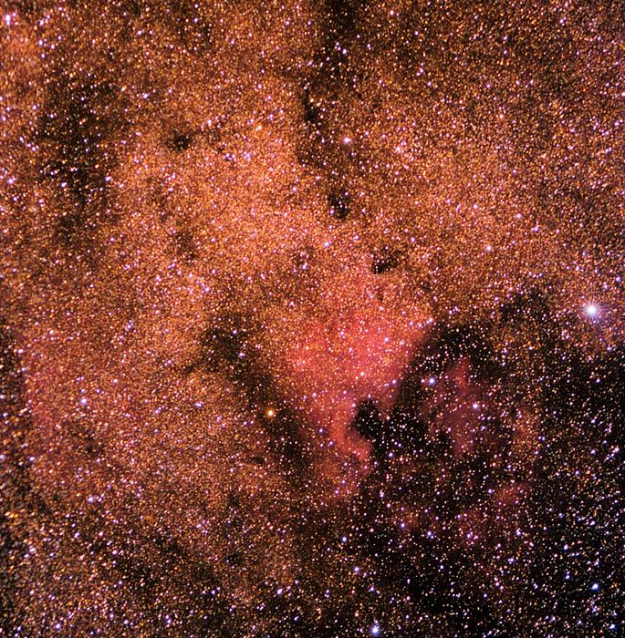 Norteamerica Nebula and the Cignus zone