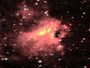 M 17. Nebulosa Omega