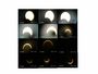 Mosaico del "Eclipse Anular de Sol"