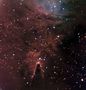 Nebulosa del Con -a NGC 2264-