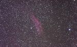 NGC 1499  en  Perseus