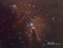 NGC-2264 Nebulosa Cono