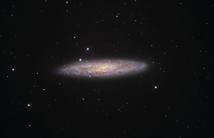 NGC 253 / Galaxia del Escultor