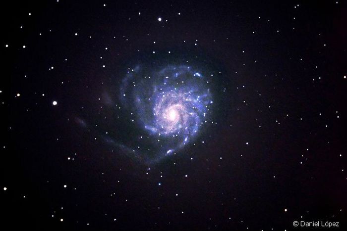 Galaxia Espiral M101