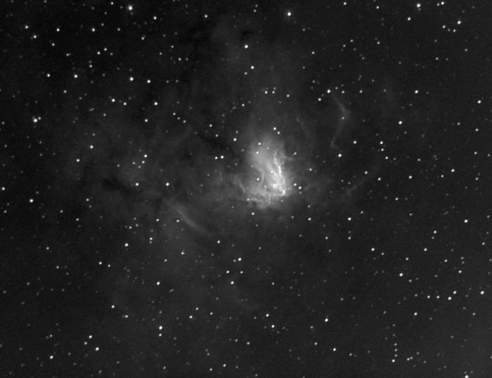NGC-1491