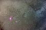 Sagitario M 8 Nebulosa La laguna y  M 20.